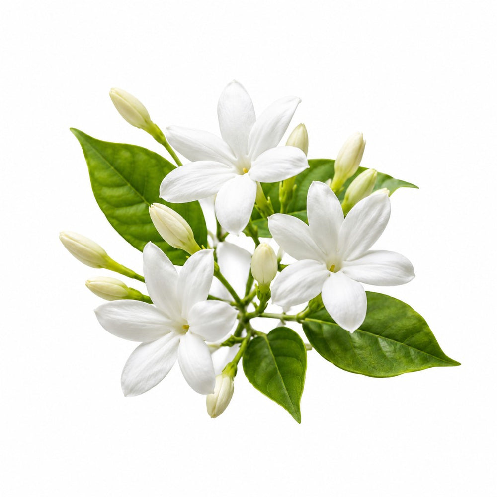 crop-1779330924264.jpg