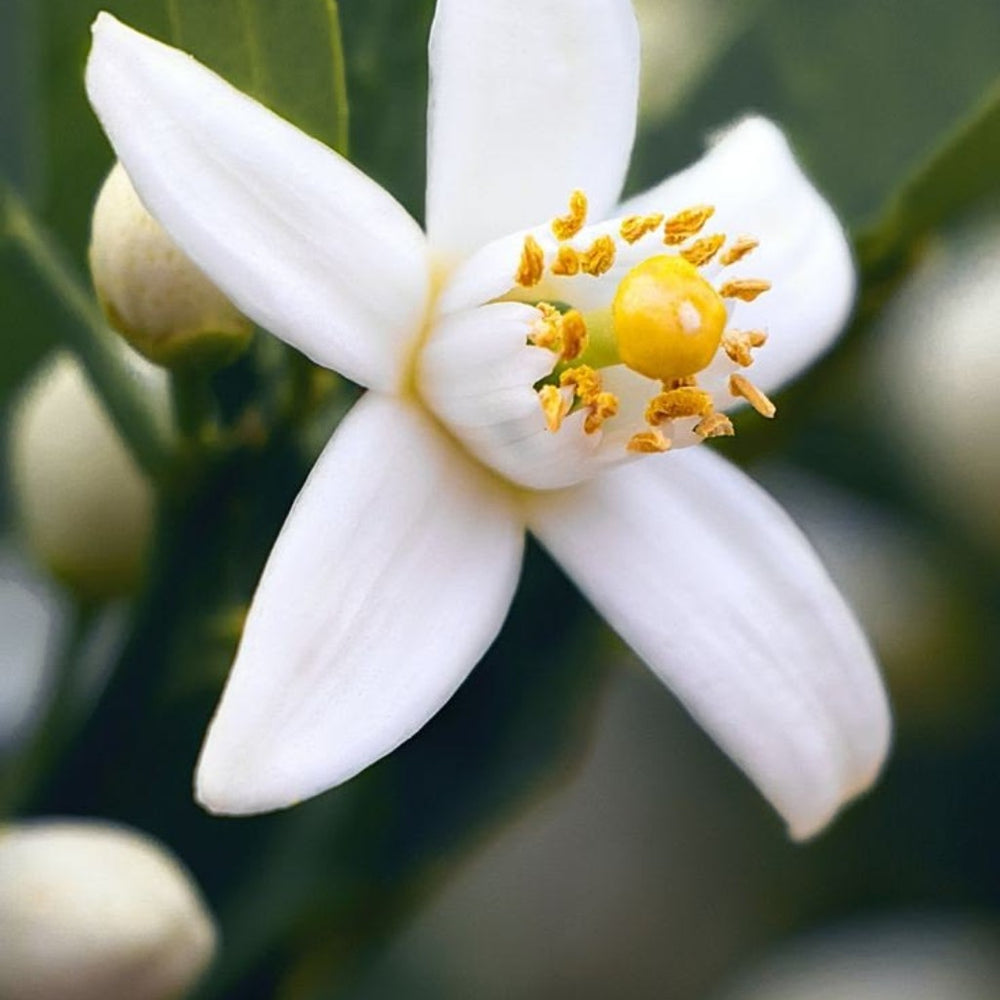 crop-1786028850825.jpg