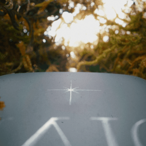 v1 SCENT - Halo.gif