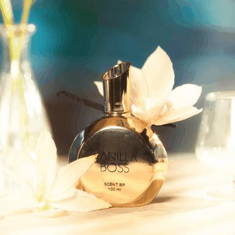 v1 SCENT - VB Complementar.mp4 .gif