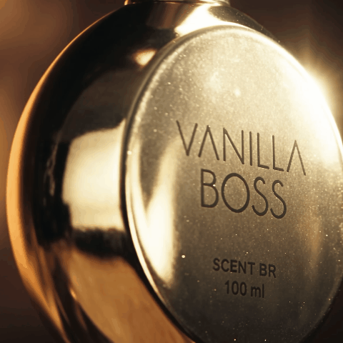 v2 SCENT - Vanila Boss.gif